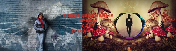 стафф Протвино